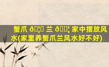 蟹爪 🦟 兰 🐦 家中摆放风水(家里养蟹爪兰风水好不好)